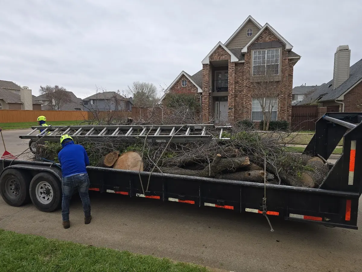 Expert Tree Fertilization with proper safety equipment in Cropseyville